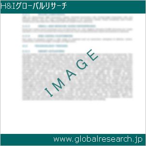 グローバルリサーチ調査レポートのイメージ